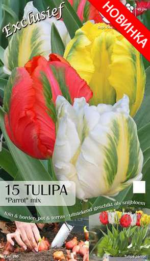 Лалета Parrot Viridiflora микс 15 броя (пакет)